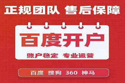 SEM推广公司成功案例：助力企业实现品牌多元化发展